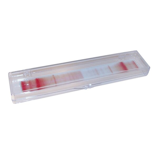 Gary Plastic Mini-Strip Blotting Box, 1 Lane, 3.8x19.0x1.6, 5/pk, 5PK 248772 - main